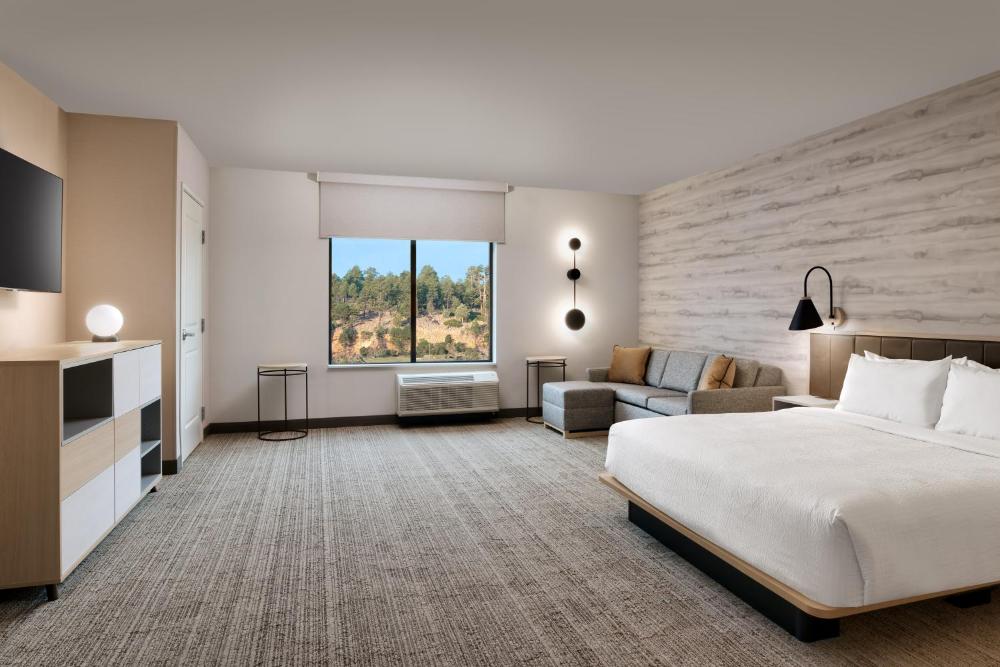 Extended King Studio with Sofa Bed - Mobility/Hearing Accessible with Tub interior
